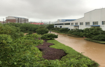 雨水倒灌厂区 机器设备浸水 保安镇紧急驰援助力企业快速复产